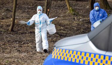 Białystok walczy z dzikami. Specjalny preparat pojawi się na osiedlach