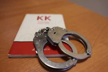 Zuchwała kradzież w autobusie. 40-latek usłyszał aż osiem zarzutów