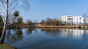 Staw przy ul. Bema po rewitalizacji. Koszt inwestycji wyniósł 3,4 mln zł