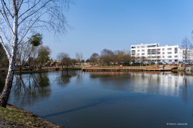 Staw przy ul. Bema po rewitalizacji. Koszt inwestycji wyniósł 3,4 mln zł