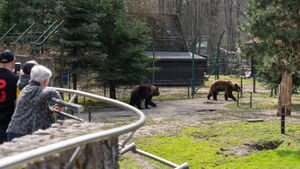 Pobudka w Akcent Zoo! Chip i Dale zaspani, ale gotowi na wiosenne spacery