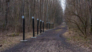 Białystok z nowymi Totemami Ambientu. Sztuka i technologia w lesie