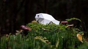 Trwa nabór do 20. edycji Żubroffki. Twórcy mają czas do końca sierpnia