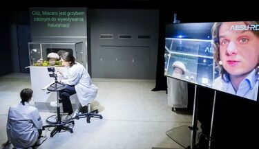 Grzyb halucynuje i uwielbia ludzi. Rzadkie gatunki w pewnym laboratorium