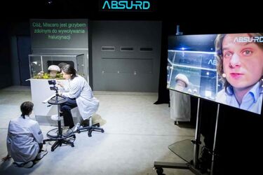 Grzyb halucynuje i uwielbia ludzi. Rzadkie gatunki w pewnym laboratorium