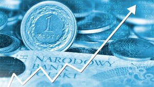 Miliony wróciły do budżetu. KAS ujawnia kulisy kontroli