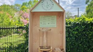 Białystok rozdaje nasiona. W urzędzie stanął kwiatomat