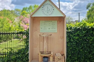 Białystok rozdaje nasiona. W urzędzie stanął kwiatomat