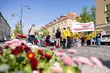 Razem przeciw barierom. Za nami 24. Marsz Godności Osób Niepełnosprawnych 