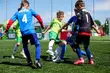 Najlepsze drużyny z Podlasia powalczą o ogólnopolski finał ważnego turnieju