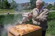 Słodki początek sezonu. Ruszyło pierwsze miodobranie w Pasiece Miejskiej