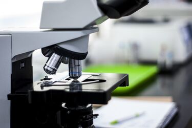 Produkt rybny z Podlasia wycofywany ze sklepów. Wykryto Listerię