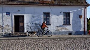 „Podlasie bez filtra”. Zdjęcia, które burzą pocztówkowy obraz regionu