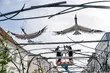 Co zawisło nad Kilińskiego? Nowa instalacja już przyciąga spojrzenia