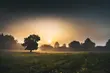 Podlaski Bon Turystyczny na wakacje. Jak zdobyć dopłatę do noclegu?