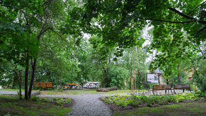Leśny zakątek w mieście. Przy ul. Niskiej otwarto nowy park
