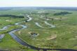 Podlaska przyroda w centrum Białegostoku. Piknik pełen atrakcji