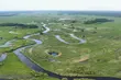 Podlaska przyroda w centrum Białegostoku. Piknik pełen atrakcji
