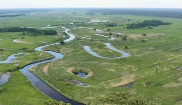 Podlaska przyroda w centrum Białegostoku. Piknik pełen atrakcji