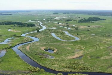 Podlaska przyroda w centrum Białegostoku. Piknik pełen atrakcji