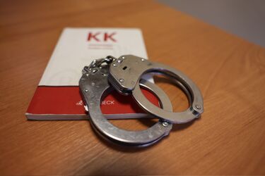 64-latek przez cztery lata znęcał się nad żoną. Wpadł pod komisariatem