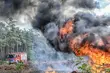 Duże zagrożenie pożarowe w Podlaskiem. W lesie wystarczy chwila
