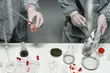 Nielegalne laboratorium w Podlaskiem rozbite. Zabezpieczono ponad 700 kg 