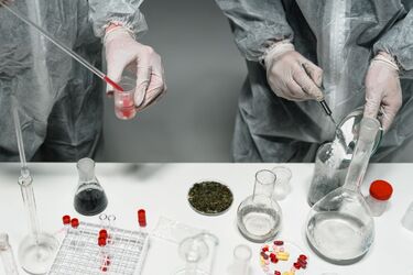 Nielegalne laboratorium w Podlaskiem rozbite. Zabezpieczono ponad 700 kg 