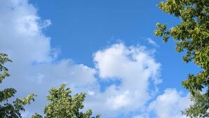 Jak Białystok ma radzić sobie z upałem i ulewami? Miasto pyta mieszkańców