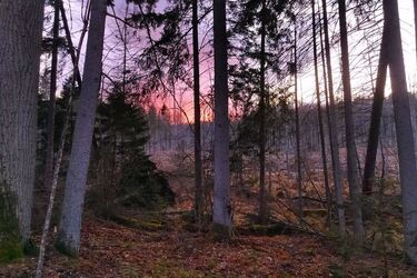 Podlasie zyska nowe rezerwaty. RDOŚ chce objąć ochroną blisko 1000 hektarów