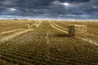 Ruszyła XVIII edycja konkursu „Polska wieś – dziedzictwo i przyszłość”