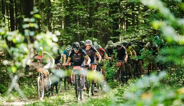 Maratony Kresowe wracają do Narewki. Szybka trasa i magia puszczy