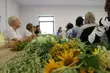 Tak powstaną ziołowe amulety. Warsztaty z roślinami i żywicą