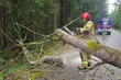 Podlaskie po wichurze. Tysiące odbiorców nadal bez prądu