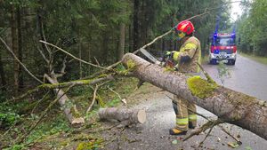 Podlaskie po wichurze. Tysiące odbiorców nadal bez prądu