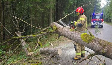 Podlaskie po wichurze. Tysiące odbiorców nadal bez prądu