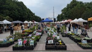 Kresowy Ogród w Białymstoku. Rośliny, rękodzieło i regionalne smaki 69 znaków.