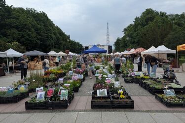 Kresowy Ogród w Białymstoku. Rośliny, rękodzieło i regionalne smaki 69 znaków.