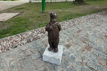 Białostocka rodzinka rośnie! Zakochany WidziMiś dołącza do grona 25 misiów