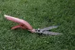 Biebrzańskie Sianokosy wracają. Kosiarze powalczą o tytuł mistrza świata
