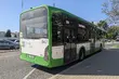 Białystok Biega zmieni trasy autobusów. Sprawdź, jak pojadą