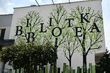 „Literacki Las” już jest. Mural zdobi bibliotekę przy Gajowej