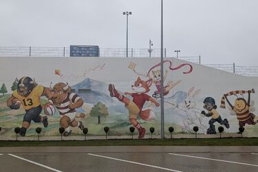 Na Chorten Arenie pojawił się mural za 35 tys. zł. Co przedstawia?