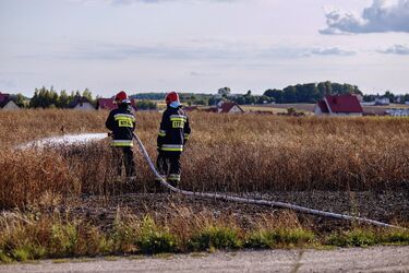 Bezpłatne warsztaty dla mieszkańców Grabówki. Nauczą, jak reagować w kryzysie