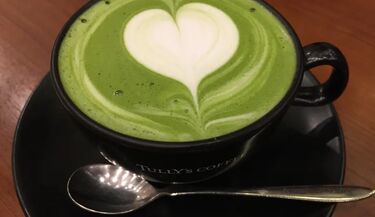 Matcha z Podlasia? Powstała pod Hajnówką z czterech lokalnych roślin