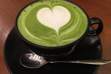 Matcha z Podlasia? Powstała pod Hajnówką z czterech lokalnych roślin