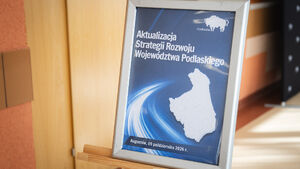 Razem dla Podlaskiego. W Augustowie debatowano o przyszłości regionu 