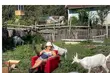 Film, który opowiada o sile i nadziei. Specjalny wieczór dla nauczycieli
