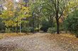 Białystok szykuje się na zmiany klimatu. Miasto zaprasza mieszkańców
