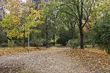 Białystok szykuje się na zmiany klimatu. Miasto zaprasza mieszkańców